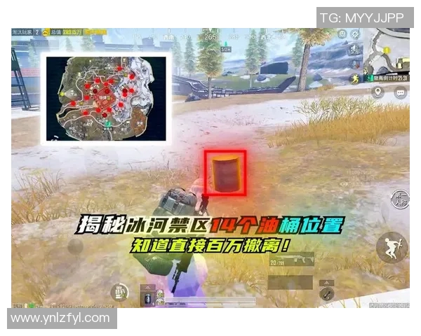 王丽专访:回顾和平精英的成长历程与未来展望